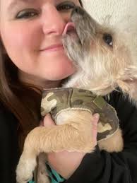 Puppy experiment ends with successful placement