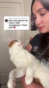 Replying to @Ian Castro ✓ #Lokito #fyp #orangecat