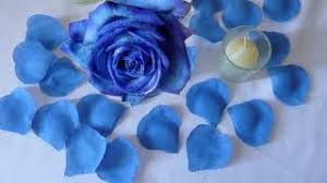 Zilele de nastere sunt pline de amintirile anului trecut, fericirile prezentului si speranta viitorului. De Ziua Ta Youtube