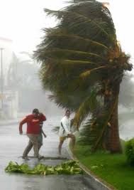 Hurricane wilma, a tropical cyclone of the 2005 atlantic hurricane season. Hurrikan Wilma Wie Ein Wutendes Monster Das Uns Verschlucken Will Umwelt Faz
