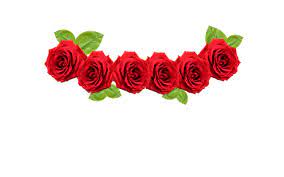 Flowercrownsarecool Here S A New Crown For You Transparent Flowers Floral Border Design Flower Crown