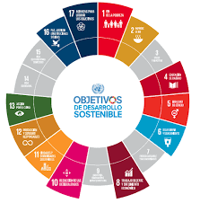 We did not find results for: Fide Agenda 2030 Verpflichtung Fide Foundation
