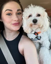 Biscuit the Maltipoo (@thebiscuitpup) • Instagram photos and videos