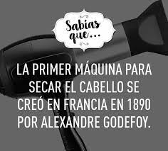 Davi S En Chihuahua Chihuahua Frases Peluqueria Imagenes Para Peluqueria Ideas De Peluqueria