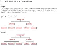 Ncert Solutions For Class 9 Science Tissues Science Tissue Biology Solutions