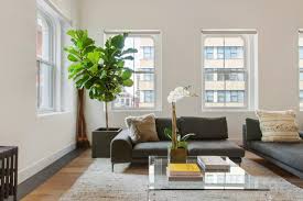 The cool tones of the dulux grey steel 2 wall colour in this living room is the perfect backdrop to enhance the lush green of the botanicals incorporated into the scheme. Living Room Ideas Gray Jihanshanum