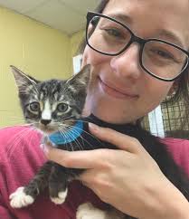 How to rehome cats of a deceased family member?