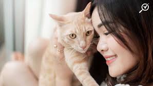 There are many misconceptions about adopting pets. How Much Does It Cost To Own A Cat In Malaysia
