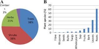 Characteristics Of The Plants Used As Herbal Medicines In