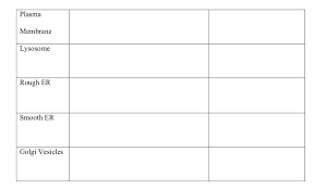 solved procedure students will get into groups and use t