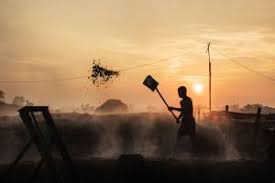 A total of 16 teams took part in the competition. Winners Galleries World Photography Organisation