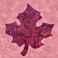 Maple Leaf Mosaic Class event image