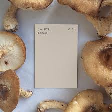Sherwinwilliams On Instagram Introducing Shiitake Sw 9173 New To The Sherwinwillia Sherwin Williams Paint Colors House Color Schemes Paint Colors For Home