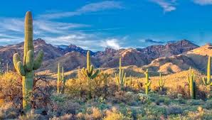 We are a training system and the leader of a global network of leaders working together to see the church spontaneously expand by returning to. America Journal Magazin Fur Reisen Lifestyle Und Kultur In Nordamerika