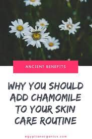 Chamomile As A Powerful Skin Elixir How To Incorporate It Into Your Skin Care Routine Earth Dweller Daily Chamomile Skin Benefits Skin Benefits Skin Care Benefits