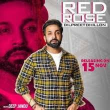 Red Rose Single Song Ringtone By Dilpreet Dhillon Mp3 Song Download Songs Dj Remix