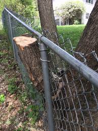We learned a lot and saved a ton of money doing it ourselves, about $2,000. Tree Trunk Imbedded Into Chain Link Fence Ask An Expert