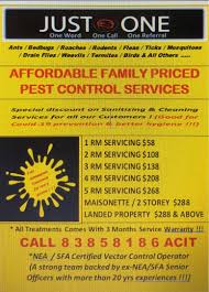 You can easily get rid of termite using our services. Affordable Cheap Pest Control For Bedbug Ants Cockroaches Termites Birds Flies Etc Home Services Others On Carousell