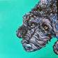 Paint your Pet Acrylic on Canvas