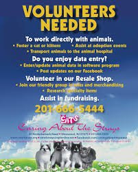 If you have experienced this as well with them, please contact me. Cats Upcoming Events Caring About The Strays