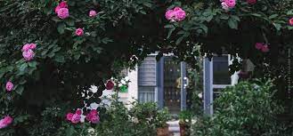 Auf garten.center möchten wir sie einladen, ihren garten neu kennen zu lernen und dessen möglichkeiten voll auszuschöpfen. Die Top 11 Gartencenter In Munchen Immobilien