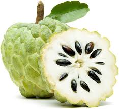 Image result for Annona squamosa