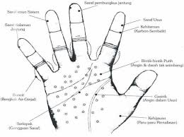 Check spelling or type a new query. Deteksi Dini Penyakit Melalui Telapak Tangan Halaman 1 Kompasiana Com
