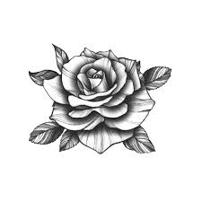 Black Rose In 2020 White Rose Tattoos Rose Tattoos For Men Rose Tattoos For Women