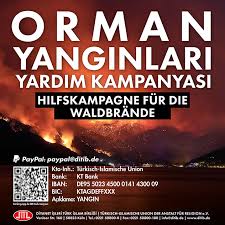 Yangın rüzgarın etkisiyle hızla büyüdü ve korkutucu boyutlara ulaştı. Youlcjwxgvv6zm