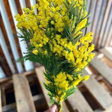 Maybe you would like to learn more about one of these? Berkeley Florist Supply Home Facebook