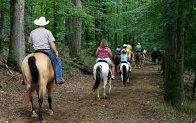 In the winter months we will not ride if the temperature is below 32 degrees, and sometimes rides will be delayed until temperature rises above freezing. Horseback Riding Georgia Mountains