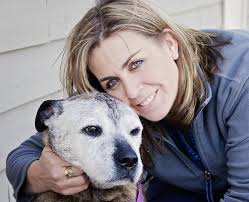 Animal Hospital of Streamwood, 904 E Irving Park Rd, Streamwood, IL 60107,  US