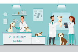 Study veterinary medicine (dvm) for 0.0 years at upm universiti putra malaysia, kuala lumpur. Veterinary Medicine Courses In Malaysia Top Universities