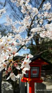 Check spelling or type a new query. Iphone Archives Papigiulio Net