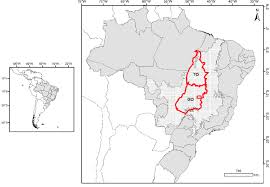 The name goiás comes from the name of an indigenous community. Map Of Brazil Showing The Location Of Goias Go And Tocantins To Download Scientific Diagram