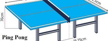Pin On Ping Pong Table