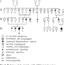 Figure 2 From Reciprocal Translocation T 5 6 P13 Q27