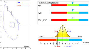 testing your lungs spirometry european respiratory society