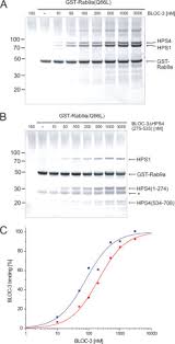 La luna sangre episode 173; Assembly Of The Biogenesis Of Lysosome Related Organelles Complex 3 Bloc 3 And Its Interaction With Rab9 Journal Of Biological Chemistry