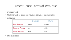 Present Forms Of Sum Esse