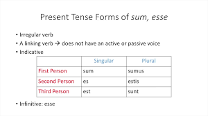 present forms of sum esse