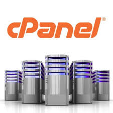 Economy Cpanel Reliable Website Hosting Website Hosting Cpanel Website Domains