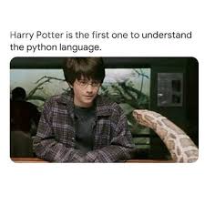 Harry Potter Is The First One To Understand The Python Language Programmer Humor Programming Humor Humor