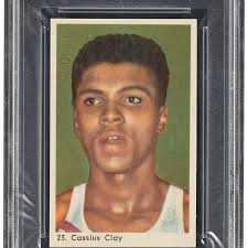 Hobby Icons: The next 15