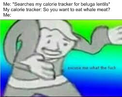 It's strange but it's true hey, i can't get over the way you love me like you do but i have to be sure when i walk out that door oh how i want to be free, baby oh how i want to be free oh how i want to break free. What The Fuck Hey Cronometer What The Fuck Overlyspecificedmemes