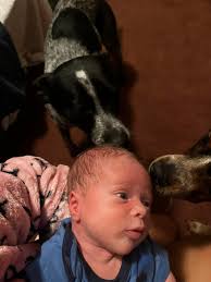 my baby boy dingo isnt a baby anymore🥹