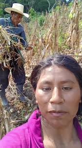 Videos de Maria Chamale (@maria.chamale31) con “sonido original