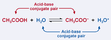 Members of a conjugate pair differ from each other by the presence or absence of the transferable hydrogen ion. Acid Base