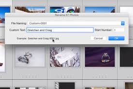 How To Organize Lightroom Presets • Phototraces