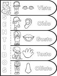 Sujeto Y Predicado Para Ninos De Quinto Grado Cinco Sentidos Pre Escola Caderno Interativo Ideias Para A Sala De Aula